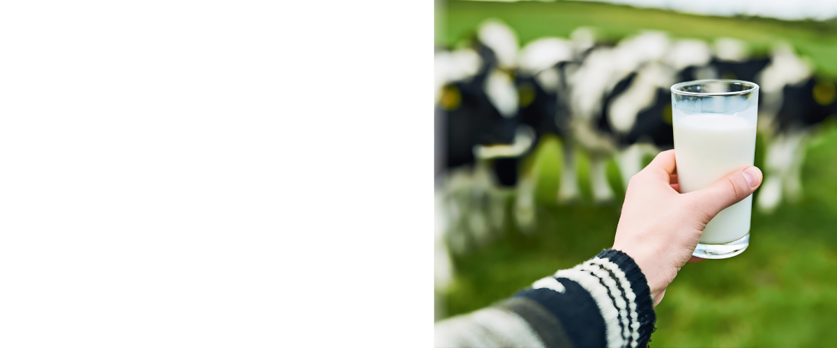 Segelas Susu dan Perannya dalam Pertumbuhan Fisik dan Mental Anak